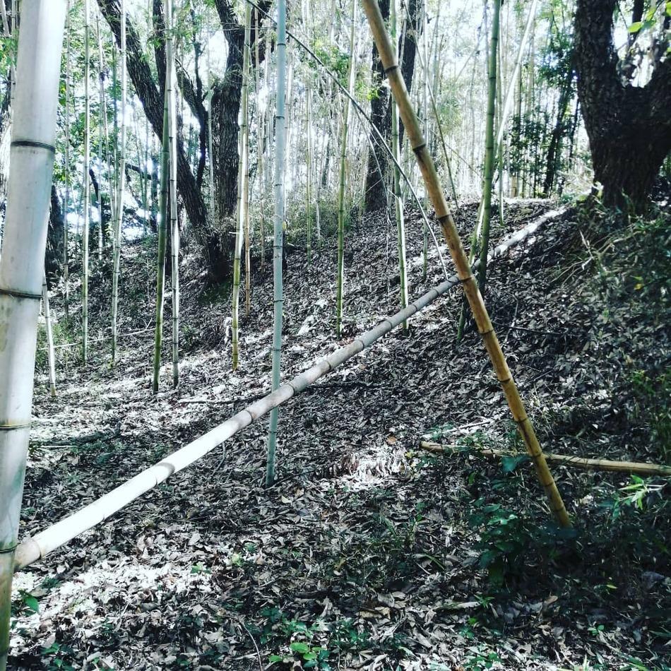 亀山城