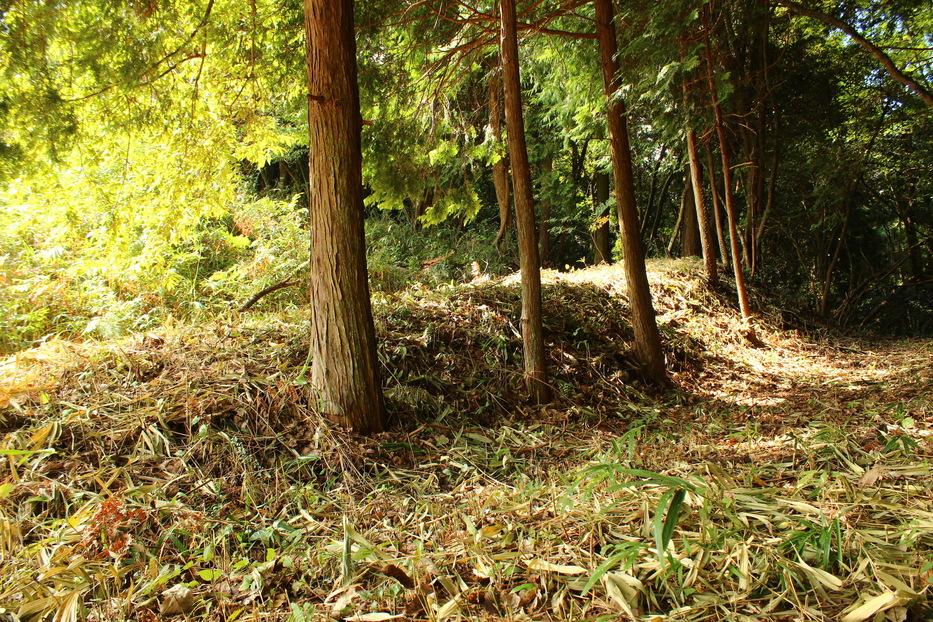 有漢常山城