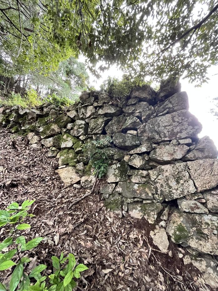 岩尾城