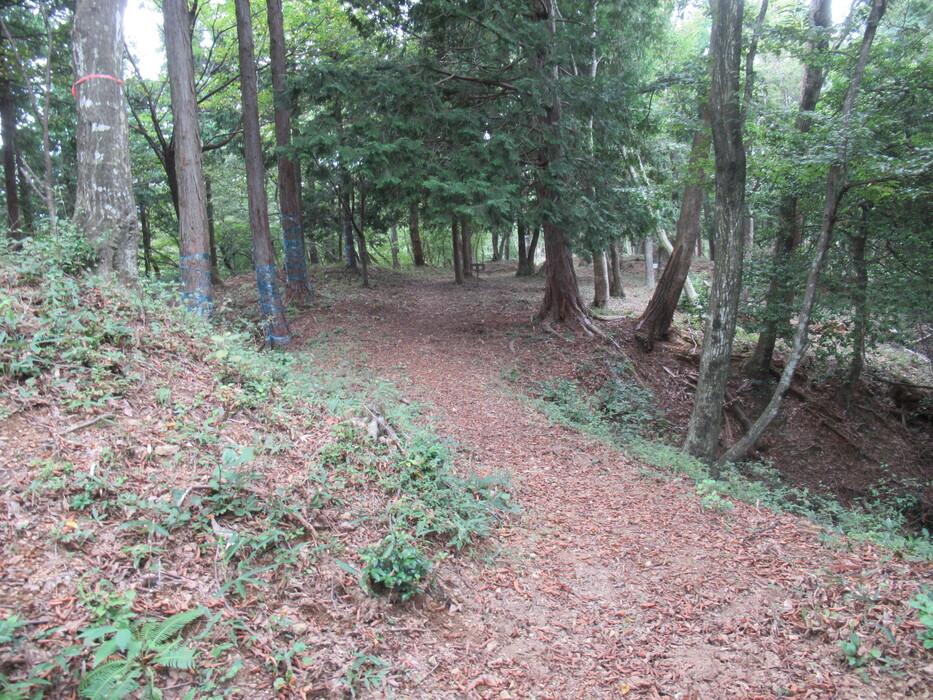 田上山城