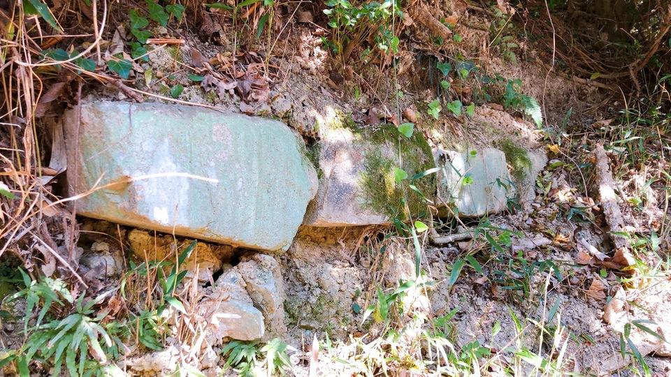 大廻小廻山城