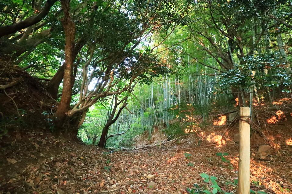 河口城