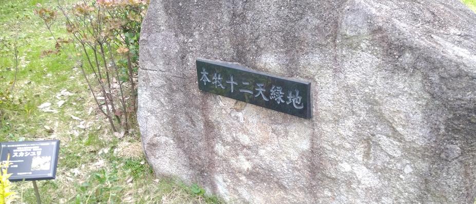 護国山台場