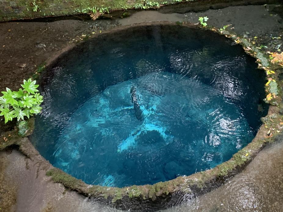 泉頭城