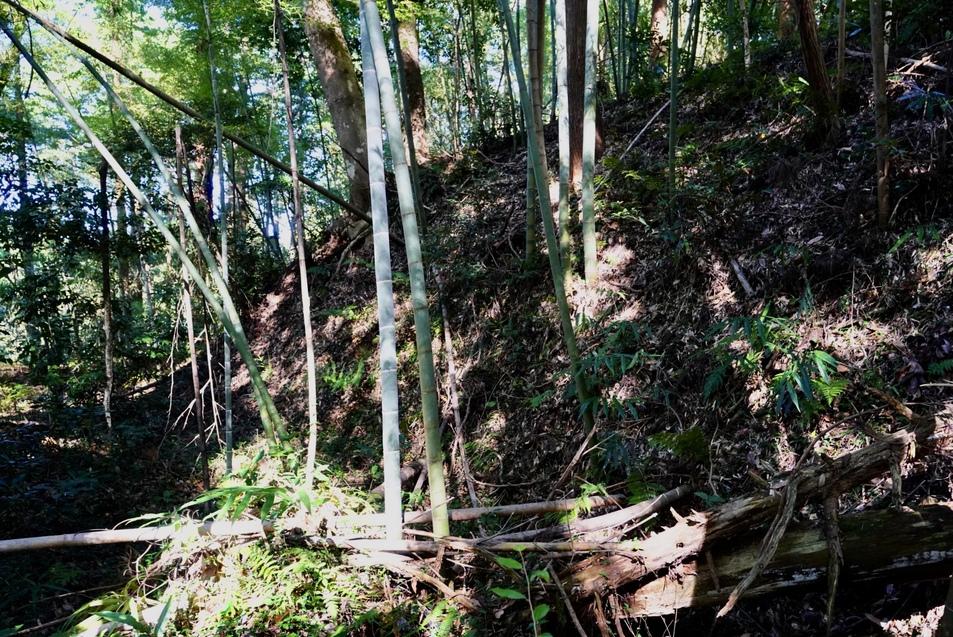 中居城