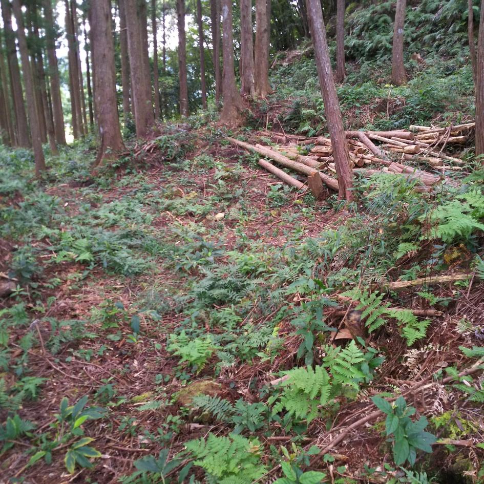 京城