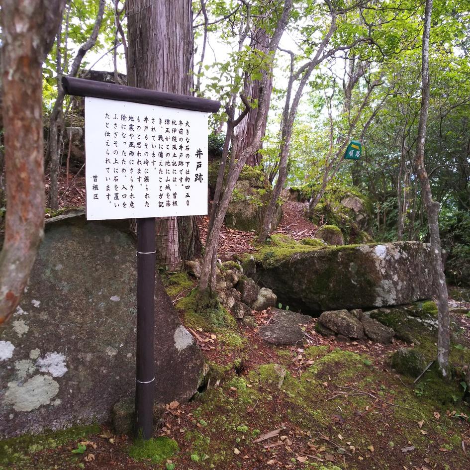 曽根城