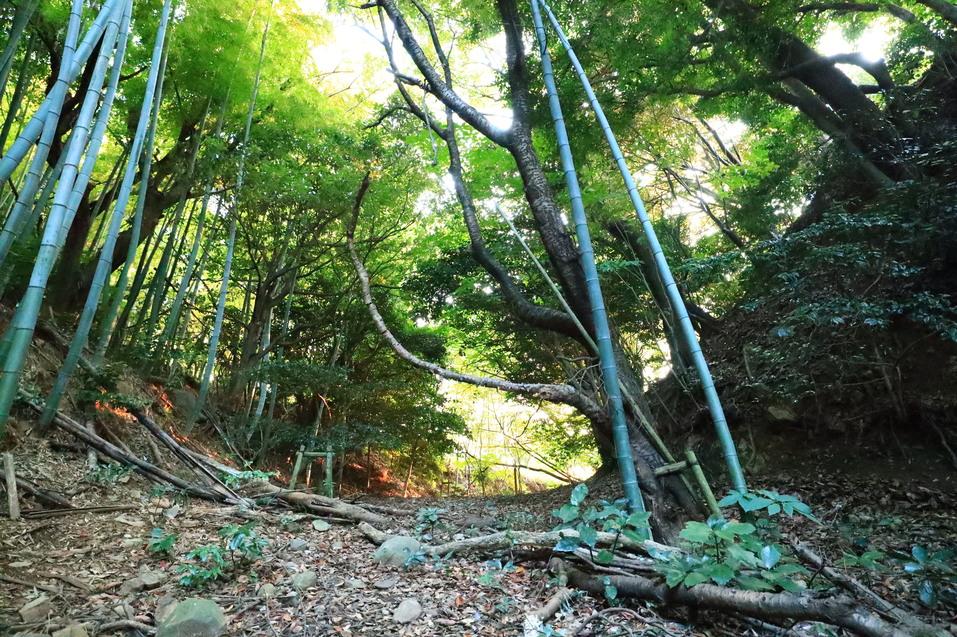 河口城