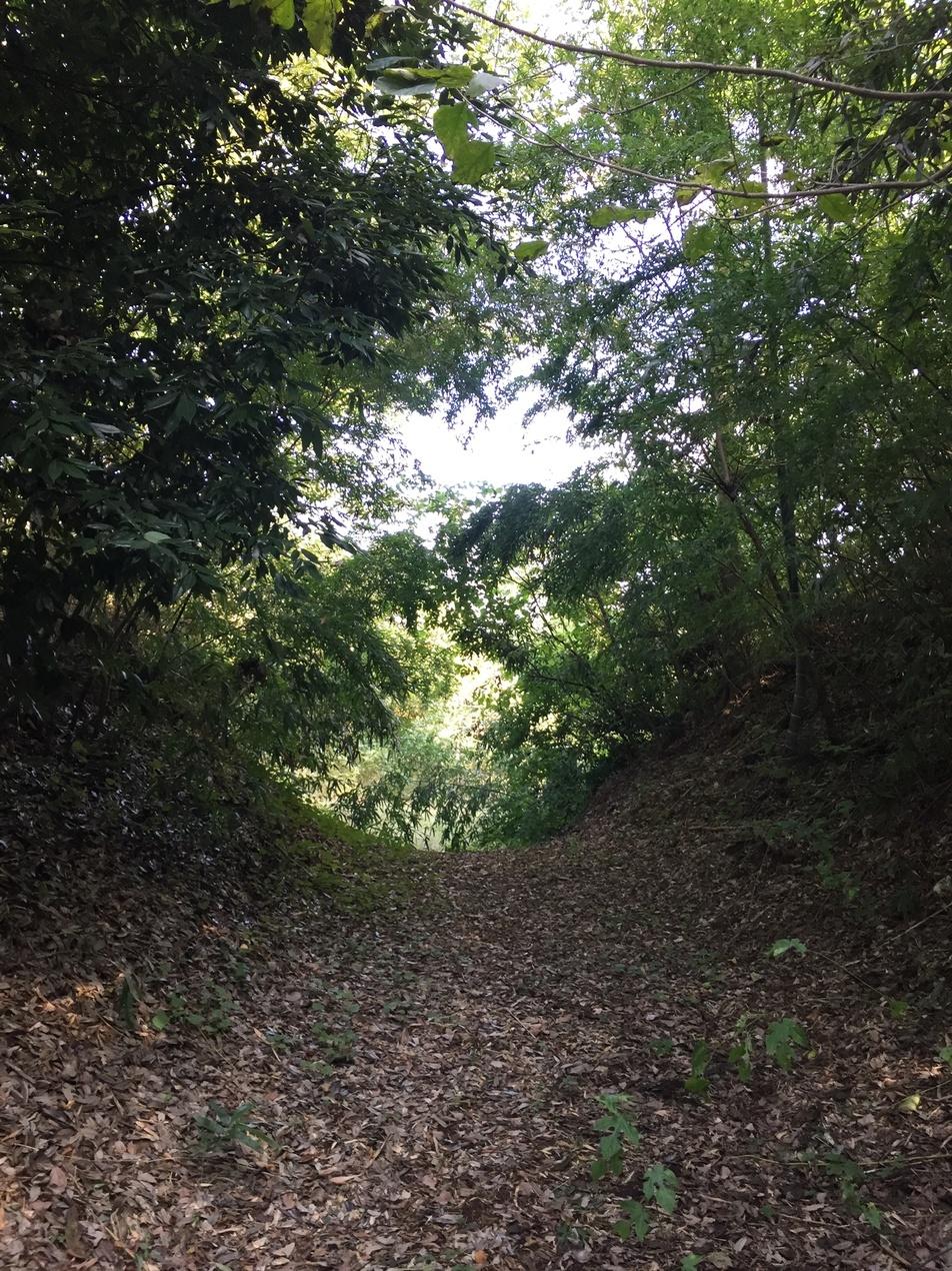 古屋城