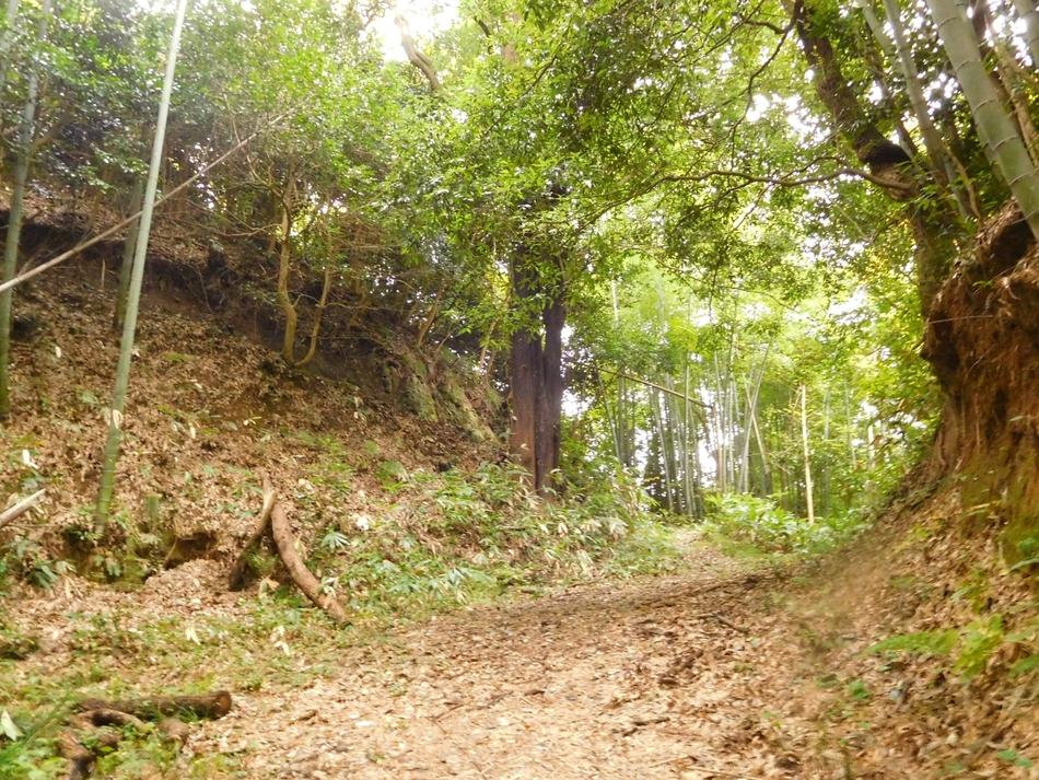 布部城