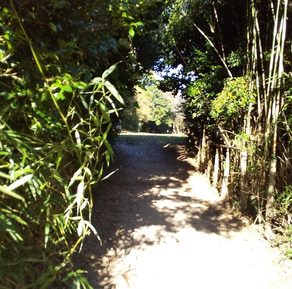 大高城
