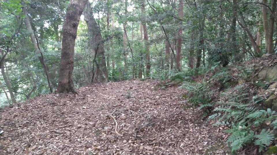 唐沢山城