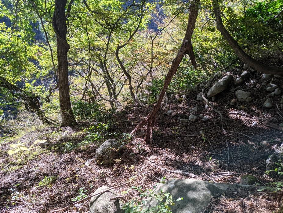 瀬戸丸山城