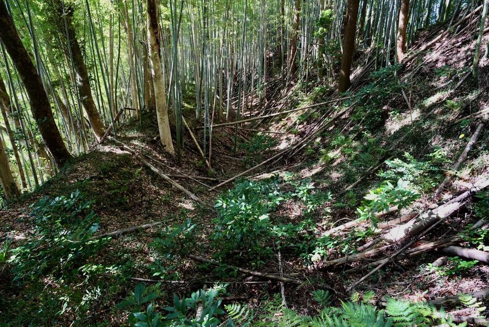 中居城