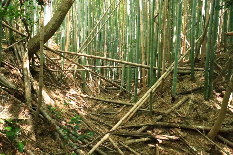 槻下豪族館