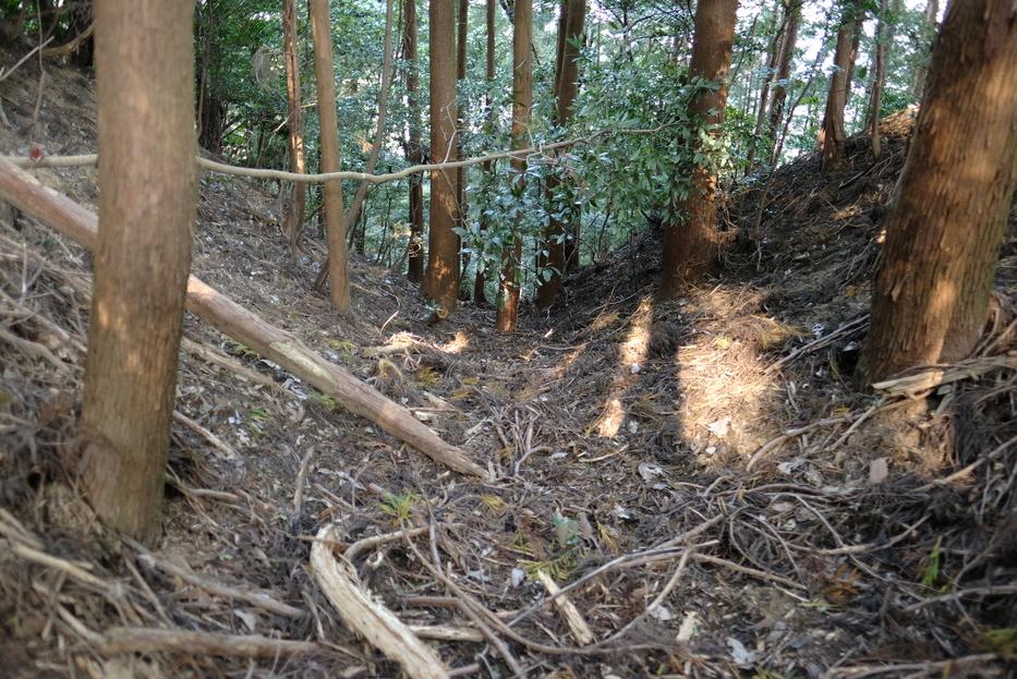 阿坂城
