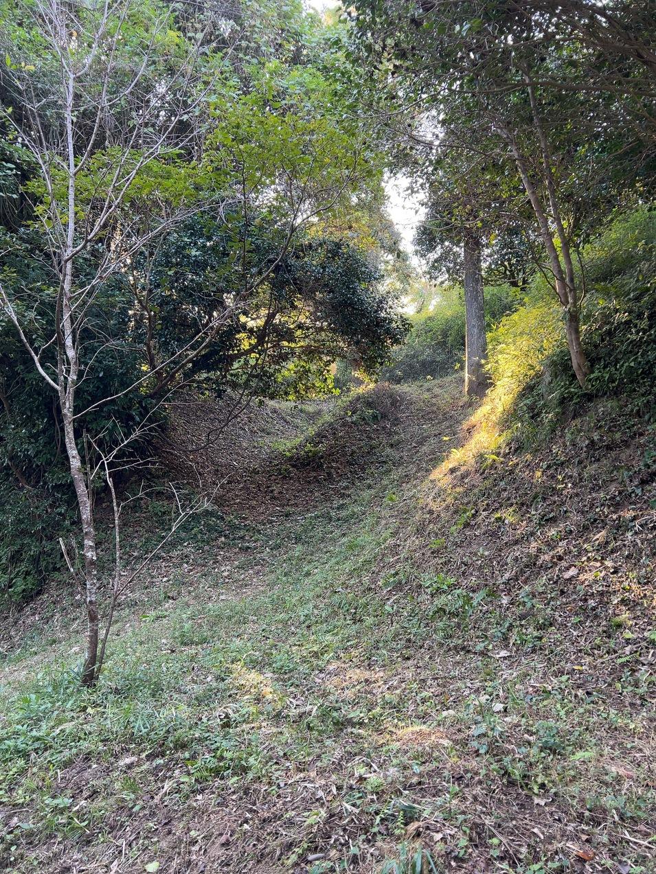 倉岡城