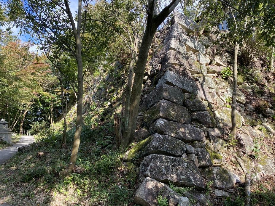 八幡山城