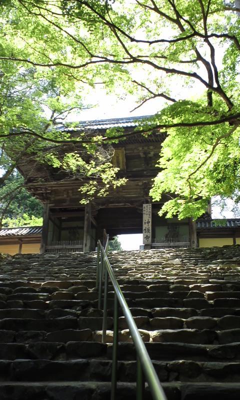 高雄城