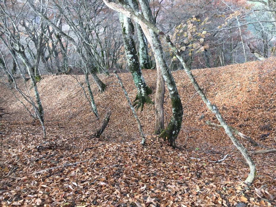 御坂城