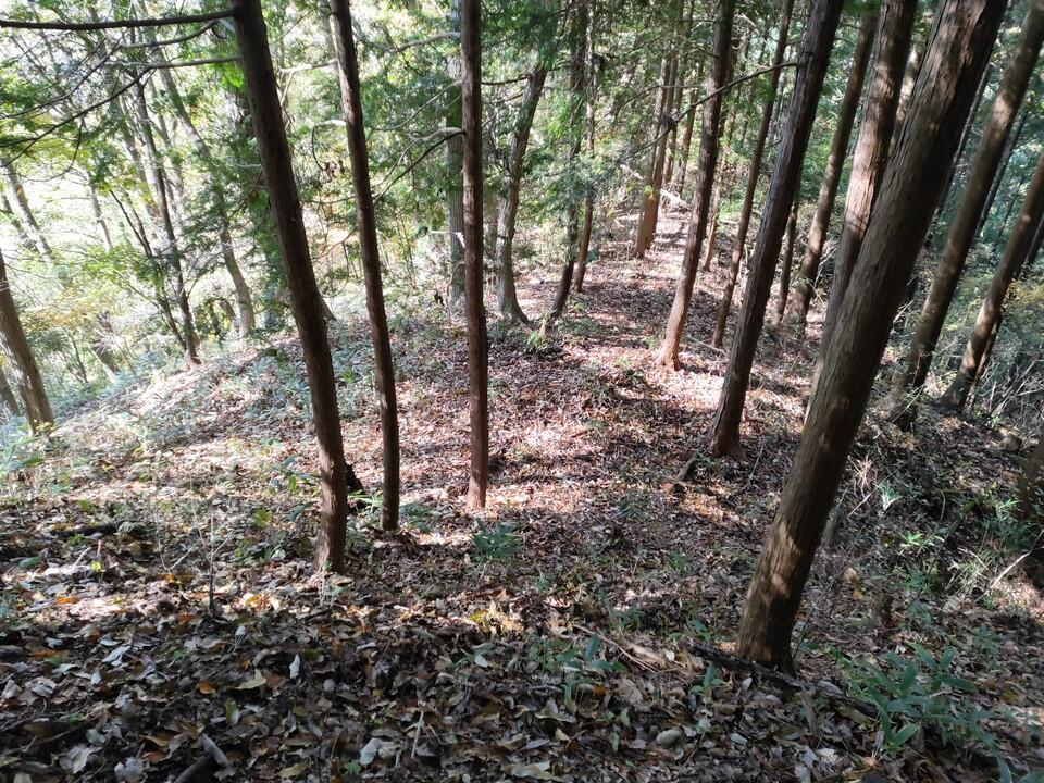 西屋城