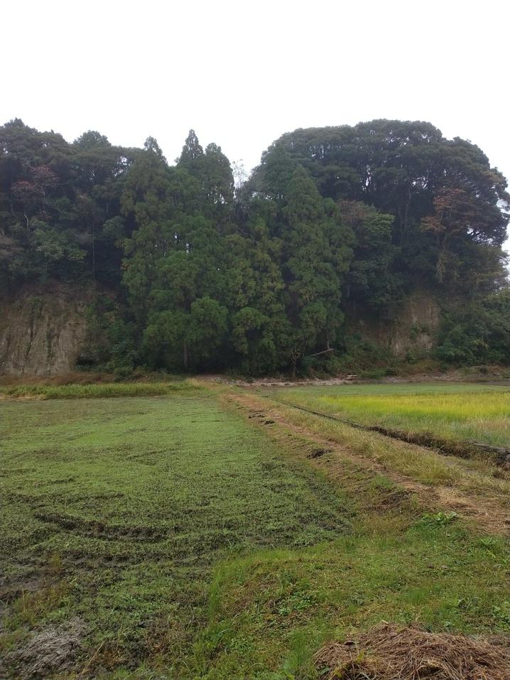 蓬原城