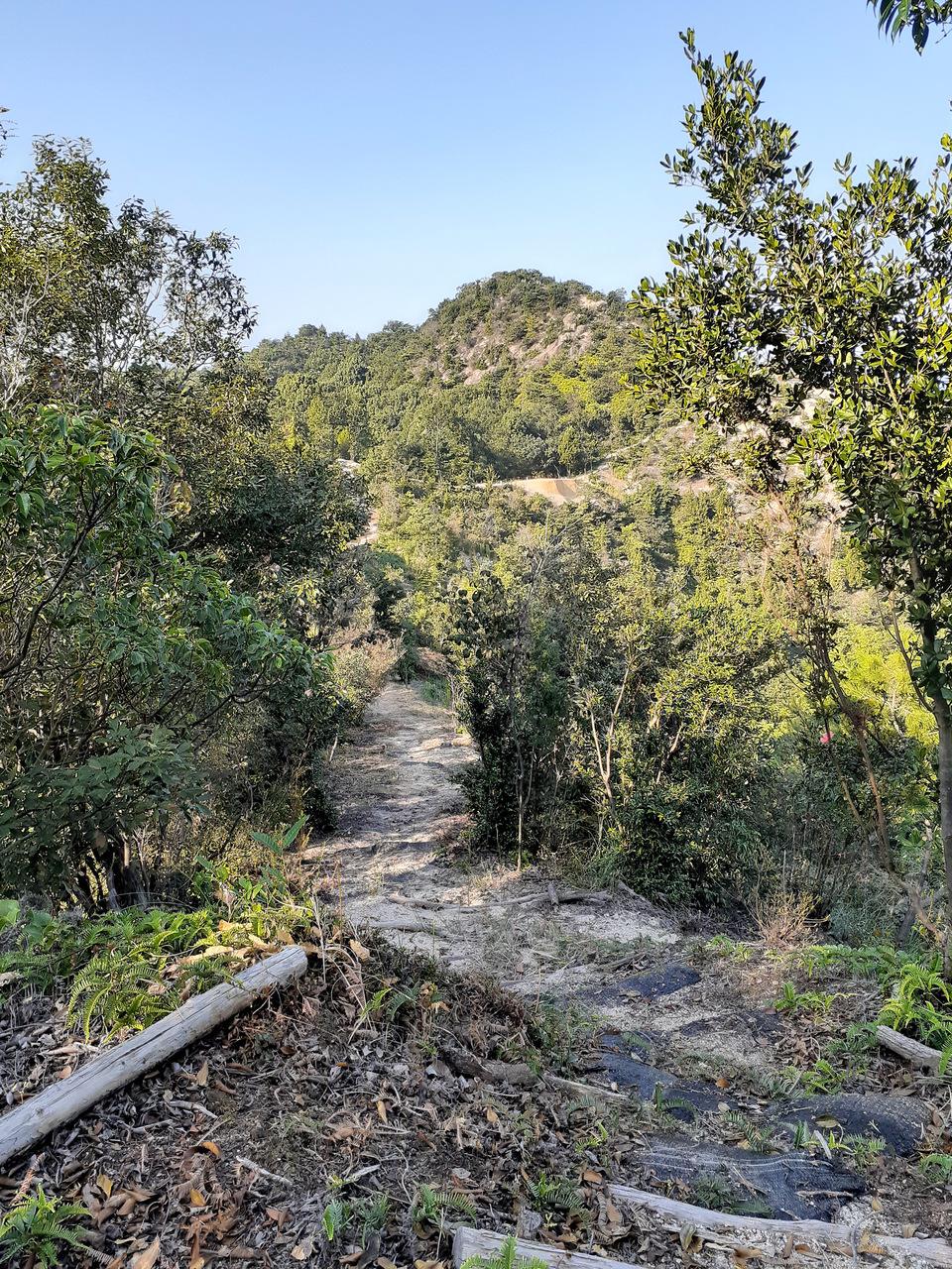 永納山城