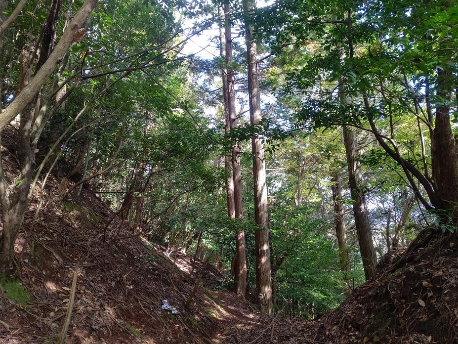 田中城