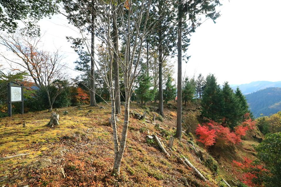 楪城