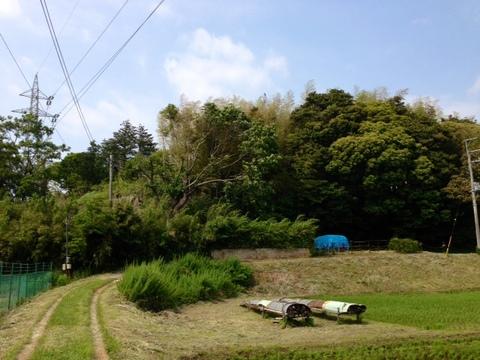 実籾城
