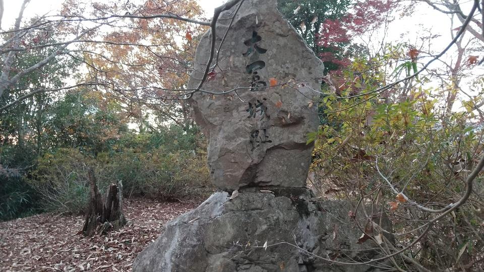 大富山城