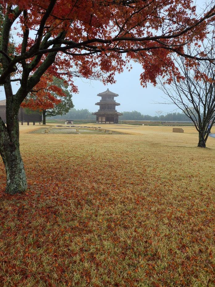 鞠智城
