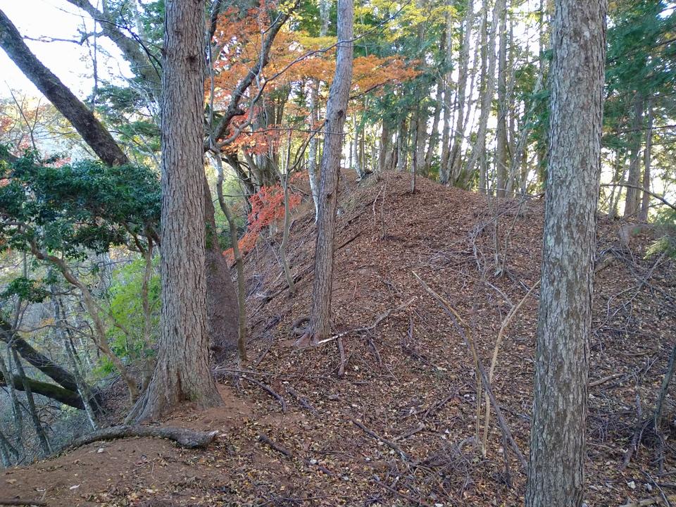 中野城
