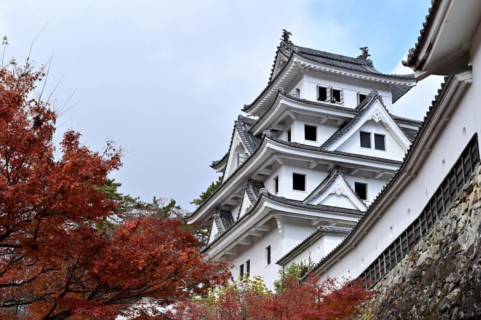 郡上八幡城