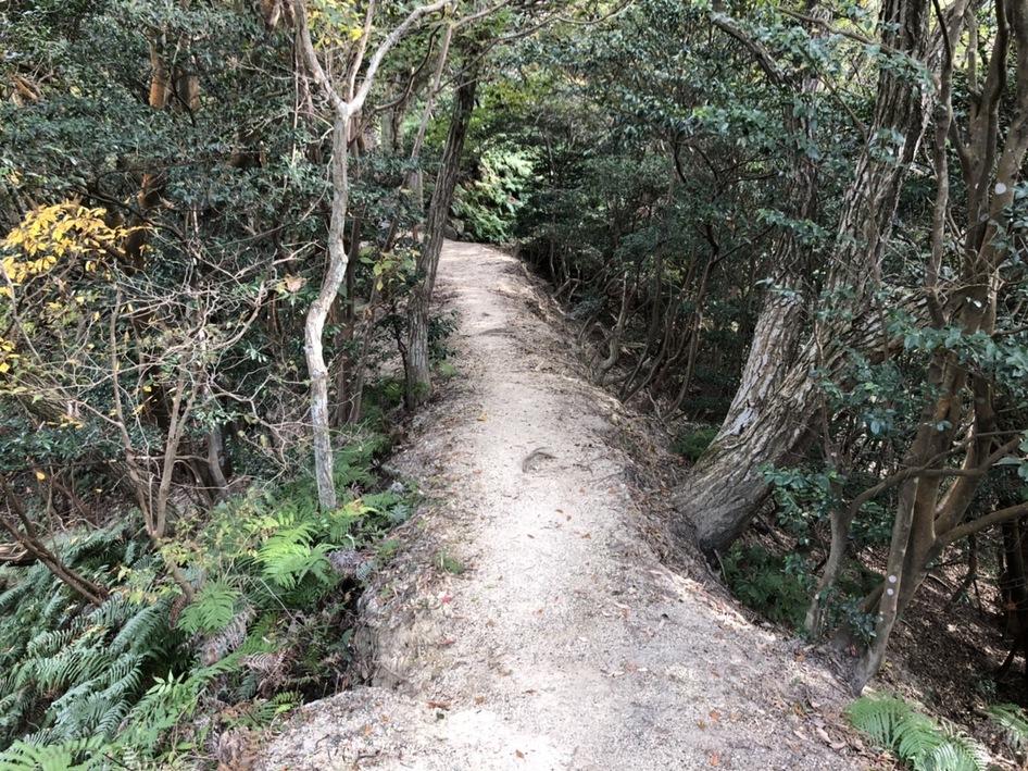 馬ヶ岳城