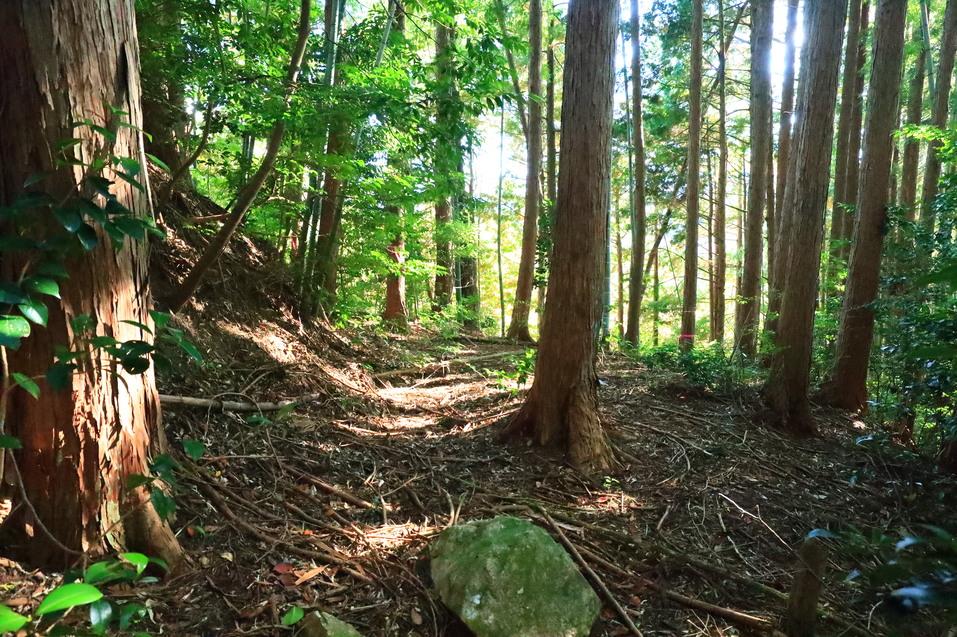 香音寺城