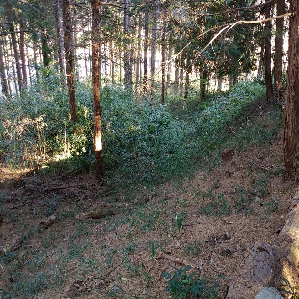 能見城