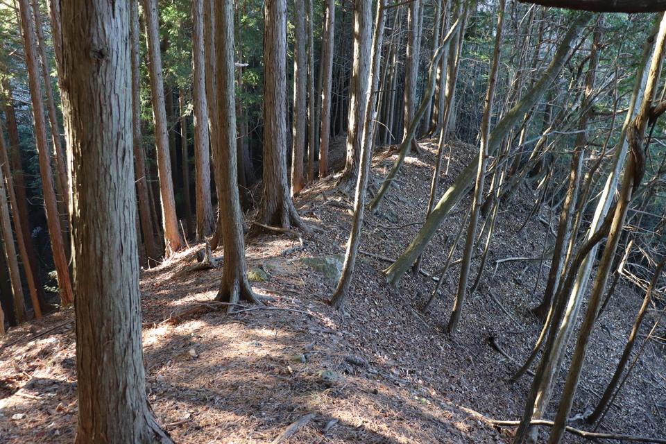 中野城