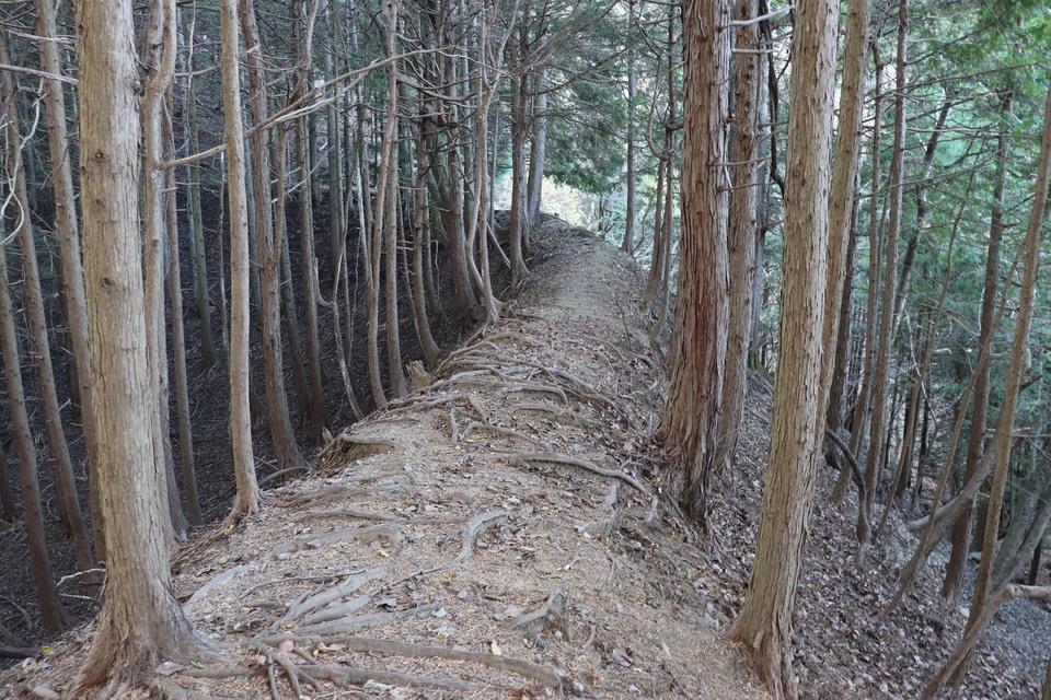 中野城