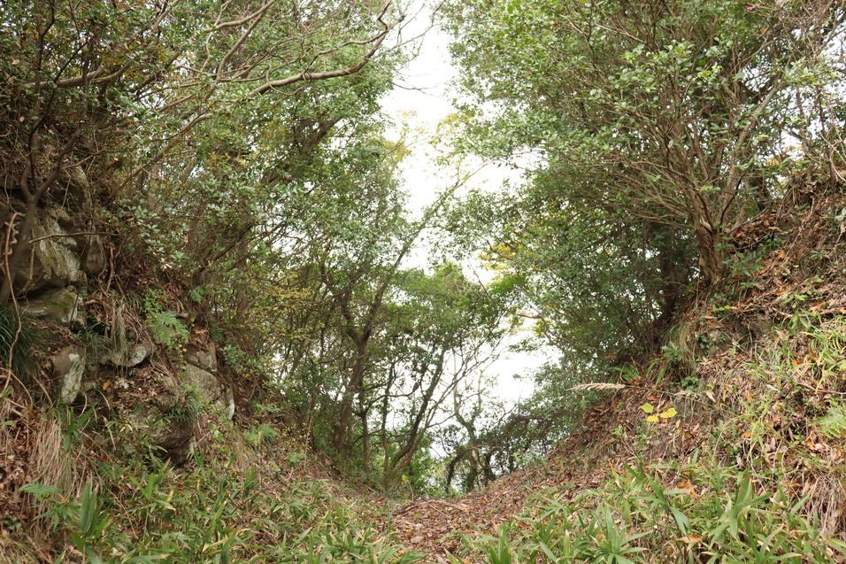 天霧城