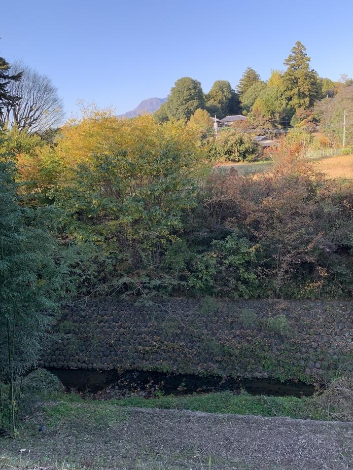 大胡城