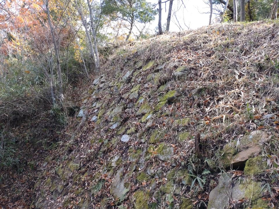 長光寺城