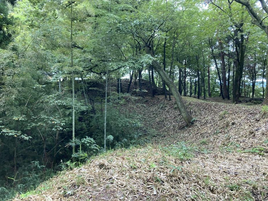 和田山城