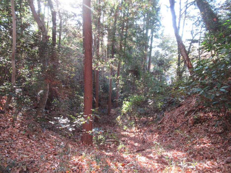 富谷城