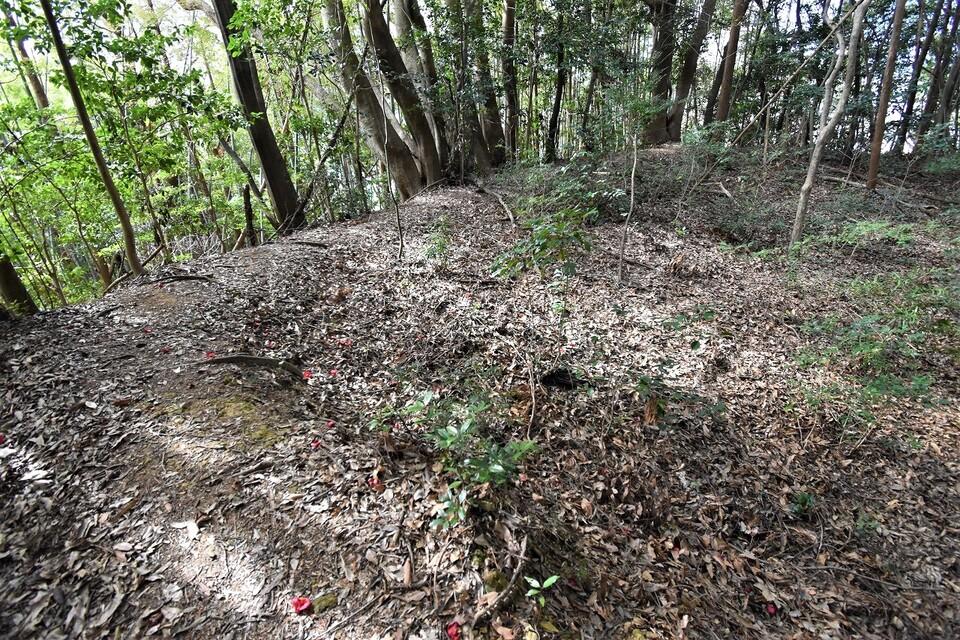 広田城