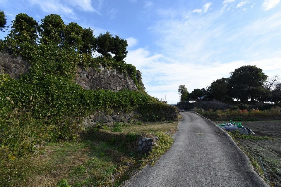 深江城