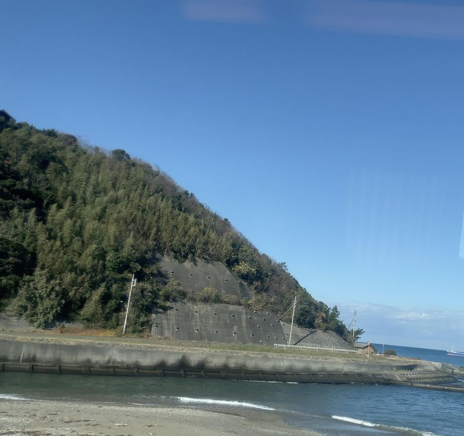針藻城
