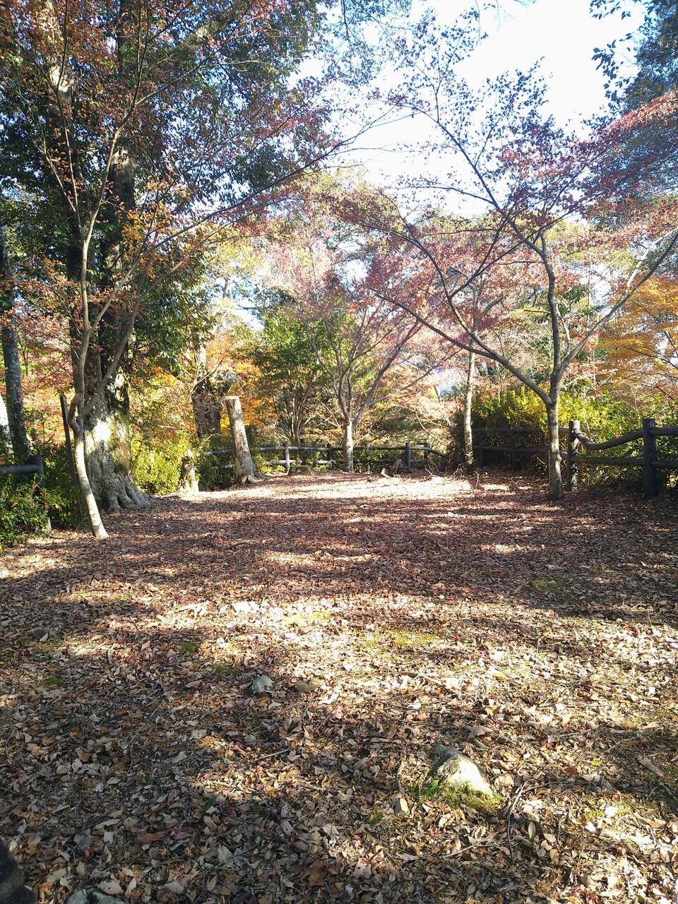 姫野々城