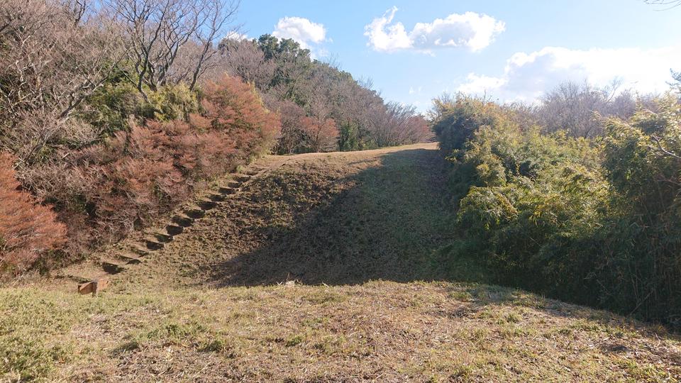 足柄城