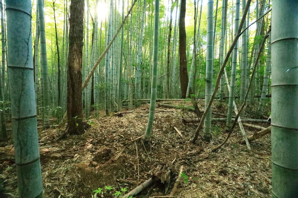 妙見山城